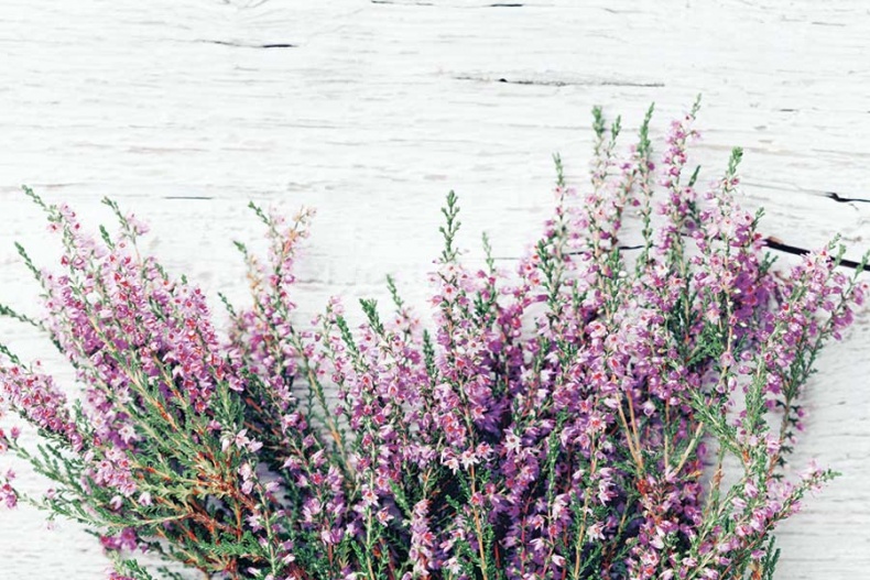 Иллюстрация к книге — Счастье по хюгге, или добавь в свою жизнь немного волшебства [i_083.jpg]