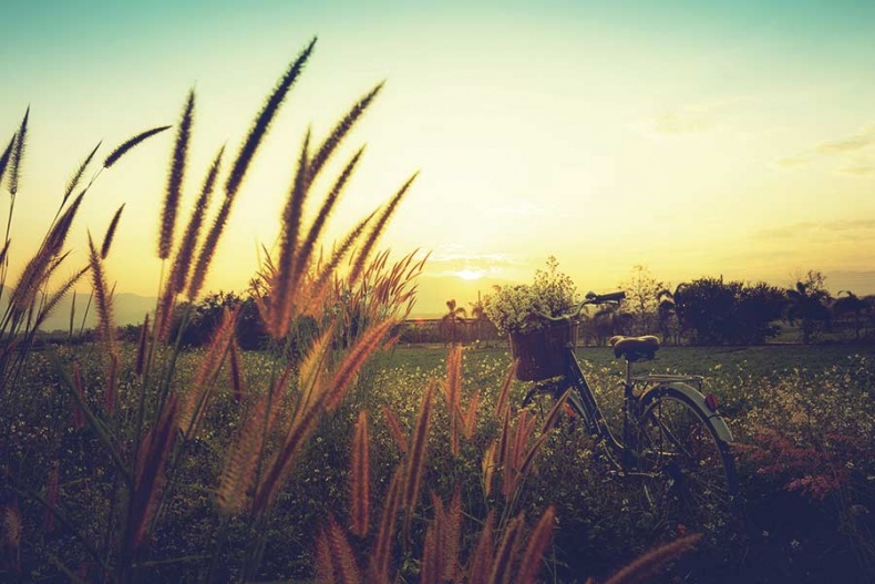 Иллюстрация к книге — Счастье по хюгге, или добавь в свою жизнь немного волшебства [i_094.jpg]