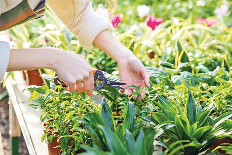 Иллюстрация к книге — Счастье по хюгге, или добавь в свою жизнь немного волшебства [i_095.jpg]