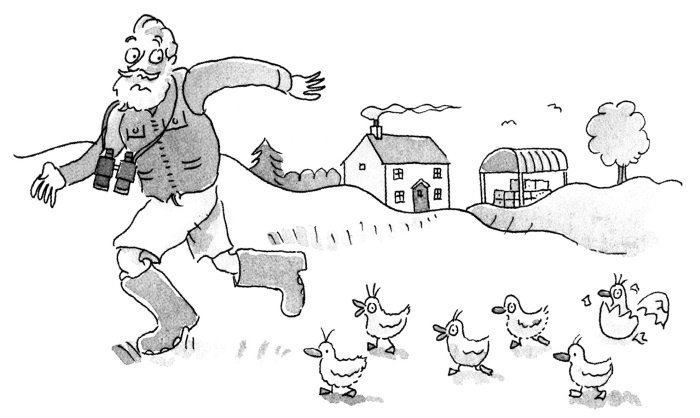 Иллюстрация к книге — Как изменить абсолютно все [i_001.jpg]