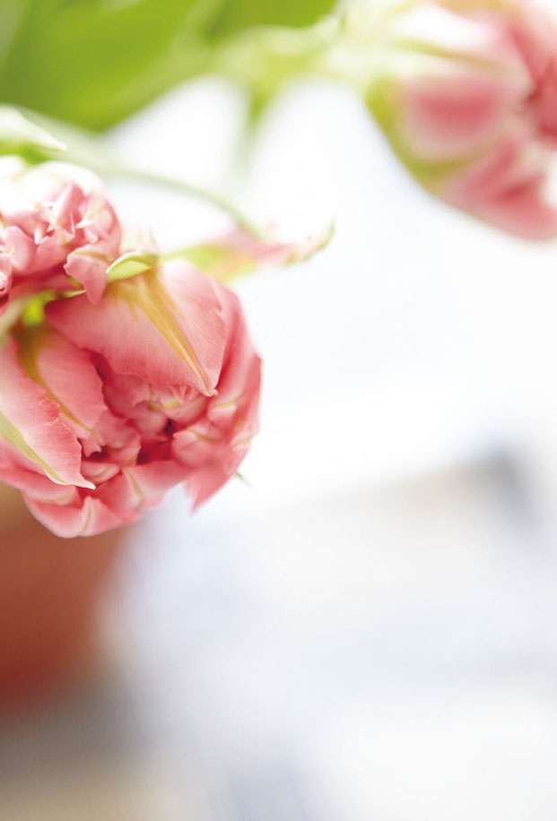 Иллюстрация к книге — Лагом. Шведские секреты счастливой жизни [i_001.jpg]