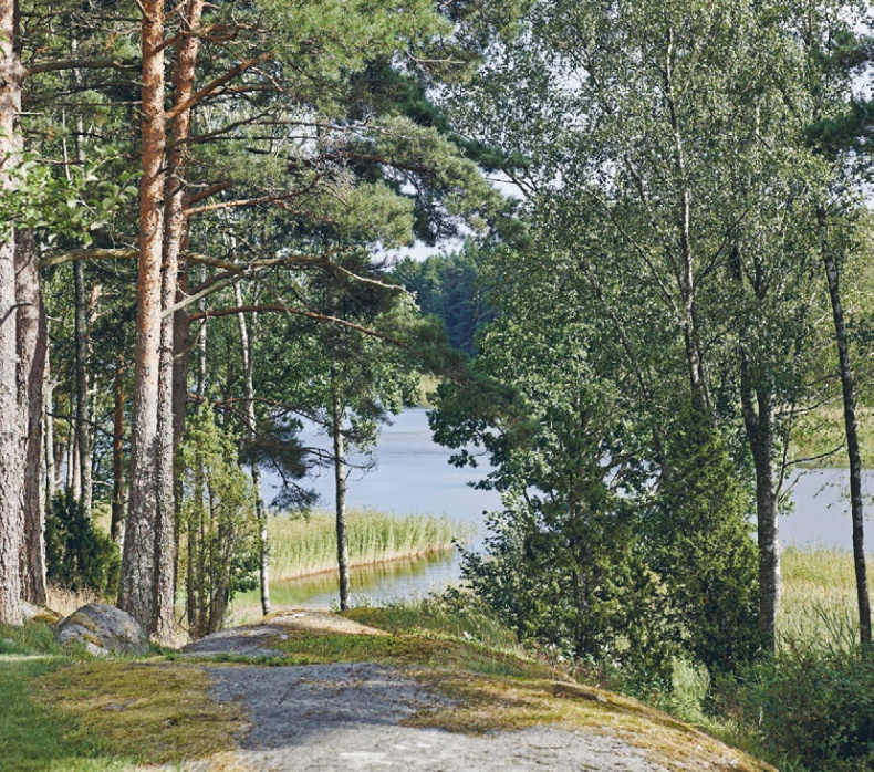 Иллюстрация к книге — Лагом. Шведские секреты счастливой жизни [i_005.jpg]