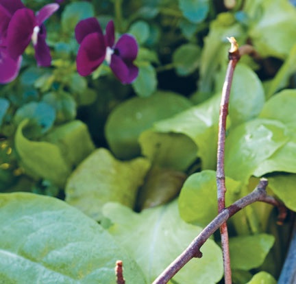 Иллюстрация к книге — Лагом. Шведские секреты счастливой жизни [i_021.jpg]