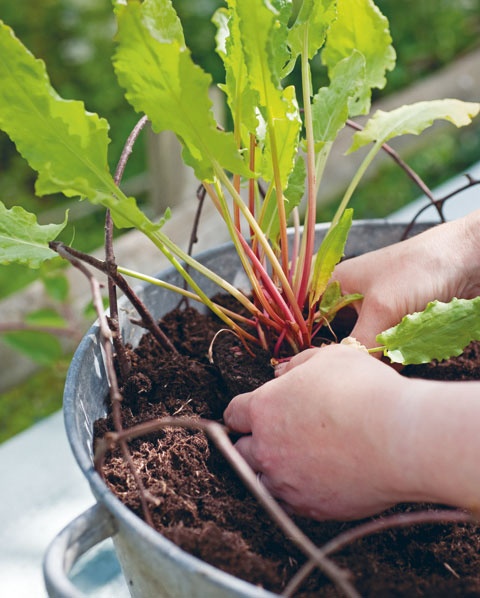 Иллюстрация к книге — Лагом. Шведские секреты счастливой жизни [i_022.jpg]