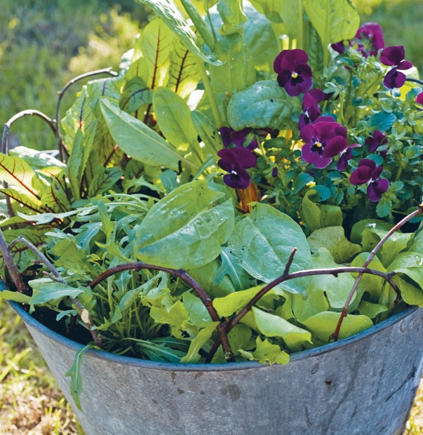 Иллюстрация к книге — Лагом. Шведские секреты счастливой жизни [i_024.jpg]