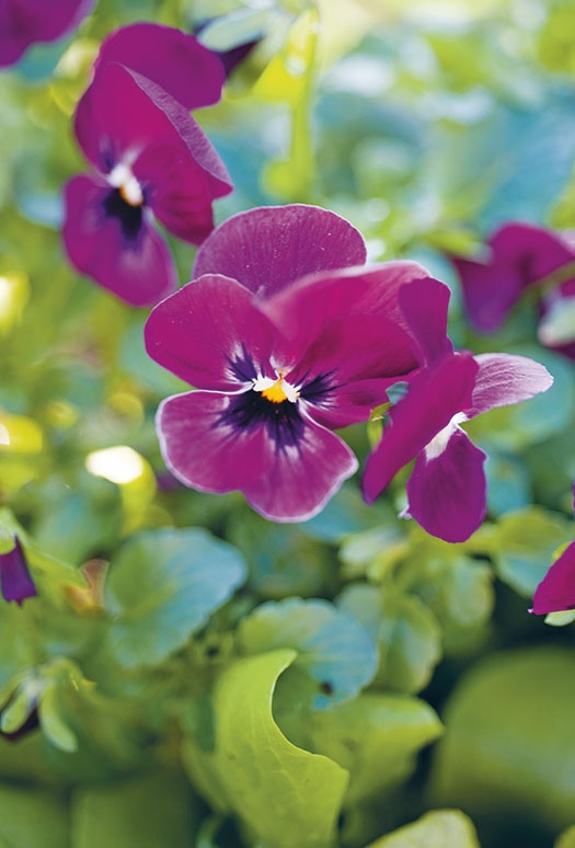 Иллюстрация к книге — Лагом. Шведские секреты счастливой жизни [i_025.jpg]