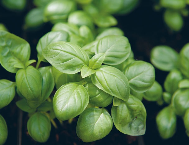 Иллюстрация к книге — Лагом. Шведские секреты счастливой жизни [i_049.jpg]