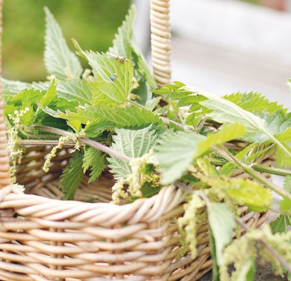 Иллюстрация к книге — Лагом. Шведские секреты счастливой жизни [i_066.jpg]