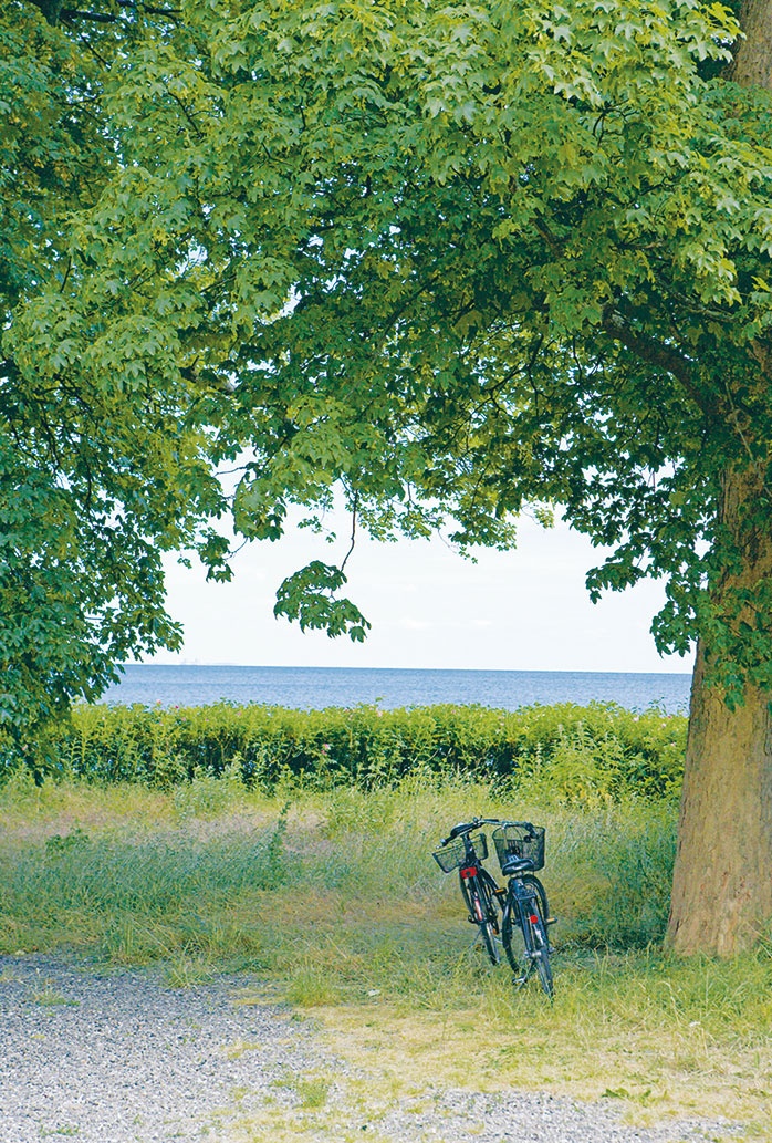 Иллюстрация к книге — Лагом. Шведские секреты счастливой жизни [i_085.jpg]