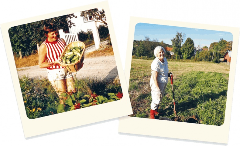 Иллюстрация к книге — Лагом. Шведские секреты счастливой жизни [i_089.jpg]