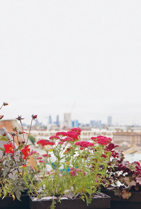 Иллюстрация к книге — Лагом. Шведские секреты счастливой жизни [i_096.jpg]