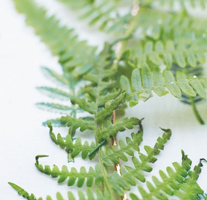 Иллюстрация к книге — Лагом. Шведские секреты счастливой жизни [i_107.jpg]