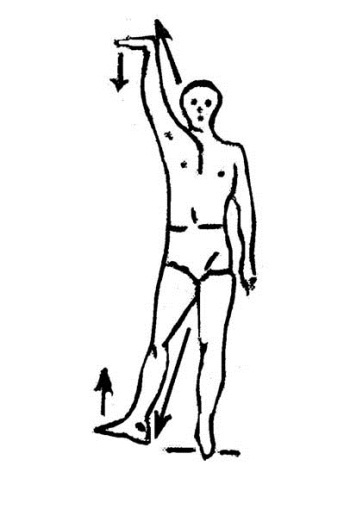 Иллюстрация к книге — Библия актерского мастерства. Уникальное собрание тренингов по методикам величайших режиссеров [i_016.jpg]