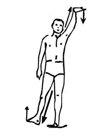 Иллюстрация к книге — Библия актерского мастерства. Уникальное собрание тренингов по методикам величайших режиссеров [i_017.jpg]