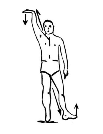 Иллюстрация к книге — Библия актерского мастерства. Уникальное собрание тренингов по методикам величайших режиссеров [i_018.jpg]