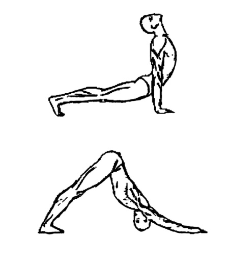 Иллюстрация к книге — Библия актерского мастерства. Уникальное собрание тренингов по методикам величайших режиссеров [i_028.jpg]