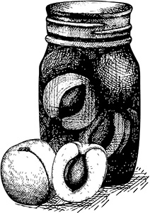 Иллюстрация к книге — Варенья, джемы, повидло. Лучшие рецепты сладостей из вашего урожая [i_011.jpg]