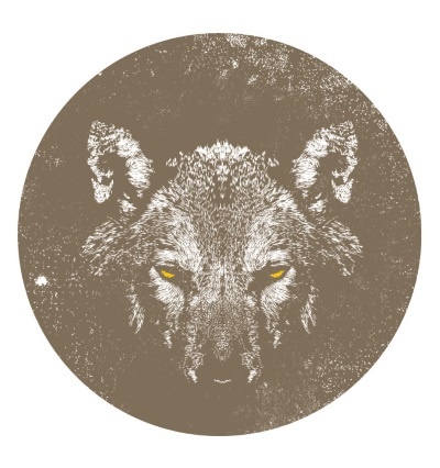 Иллюстрация к книге — Волк. Размышления о главном [i_001.jpg]