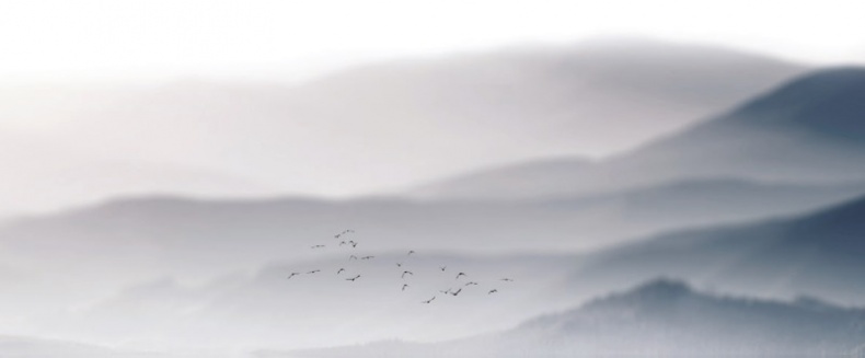 Иллюстрация к книге — Волк. Размышления о главном [i_006.jpg]