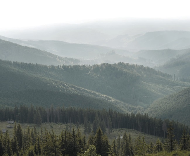 Иллюстрация к книге — Волк. Размышления о главном [i_016.jpg]