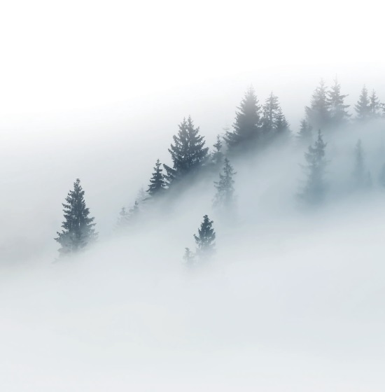 Иллюстрация к книге — Волк. Размышления о главном [i_020.jpg]