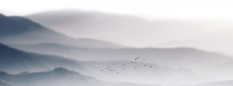 Иллюстрация к книге — Волк. Размышления о главном [i_021.jpg]