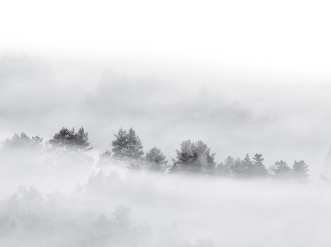 Иллюстрация к книге — Волк. Размышления о главном [i_029.jpg]