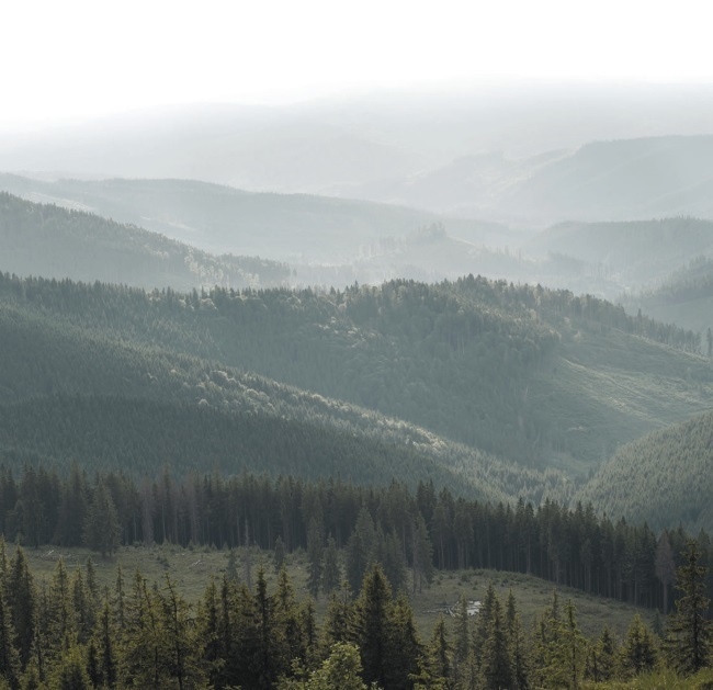 Иллюстрация к книге — Волк. Размышления о главном [i_030.jpg]