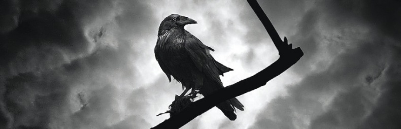 Иллюстрация к книге — Волк. Размышления о главном [i_034.jpg]