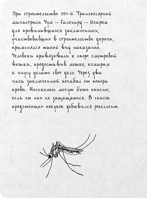 Иллюстрация к книге — На электричках. Путешествие из Владивостока в Москву [i_050.jpg]