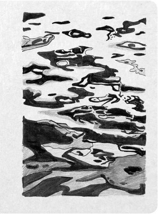 Иллюстрация к книге — На электричках. Путешествие из Владивостока в Москву [i_058.jpg]