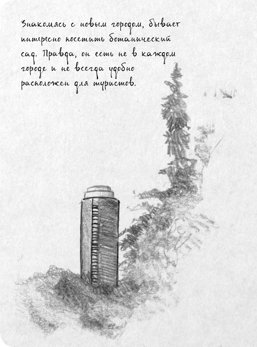 Иллюстрация к книге — На электричках. Путешествие из Владивостока в Москву [i_075.jpg]