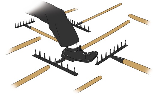 Иллюстрация к книге — Лабиринты стратегии. 8К [i_119.jpg]