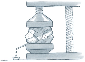 Иллюстрация к книге — Бизнес-процессы. Как их описать, отладить и внедрить. Практикум [i_123.jpg]