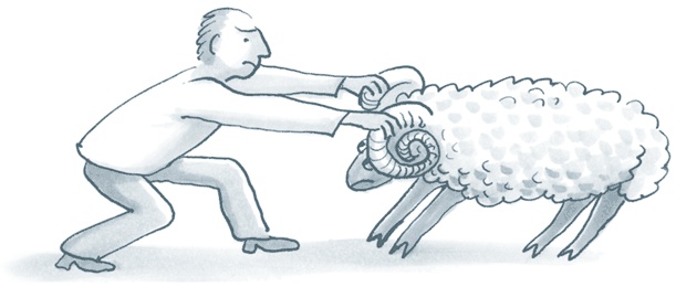 Иллюстрация к книге — Бизнес-процессы. Как их описать, отладить и внедрить. Практикум [i_136.jpg]