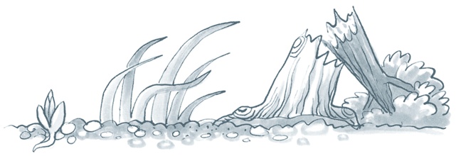 Иллюстрация к книге — Бизнес-процессы. Как их описать, отладить и внедрить. Практикум [i_137.jpg]