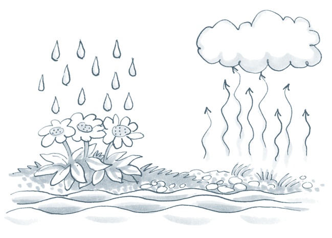 Иллюстрация к книге — Бизнес-процессы. Как их описать, отладить и внедрить. Практикум [i_138.jpg]