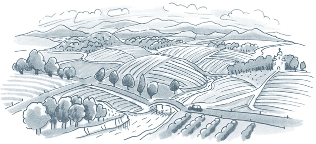 Иллюстрация к книге — Бизнес-процессы. Как их описать, отладить и внедрить. Практикум [i_164.jpg]