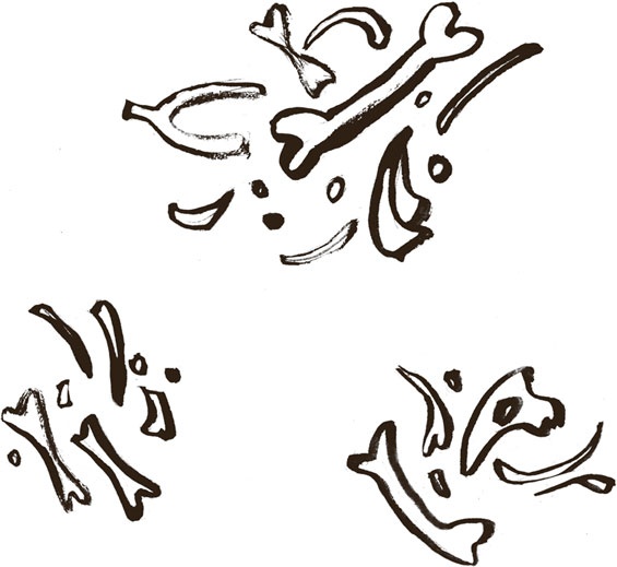 Иллюстрация к книге — Что мы ели в СССР. Рецепты на все времена [_14.jpg]