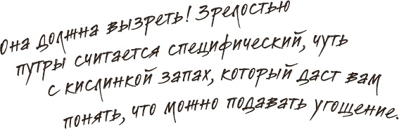 Иллюстрация к книге — Что мы ели в СССР. Рецепты на все времена [_61.jpg]