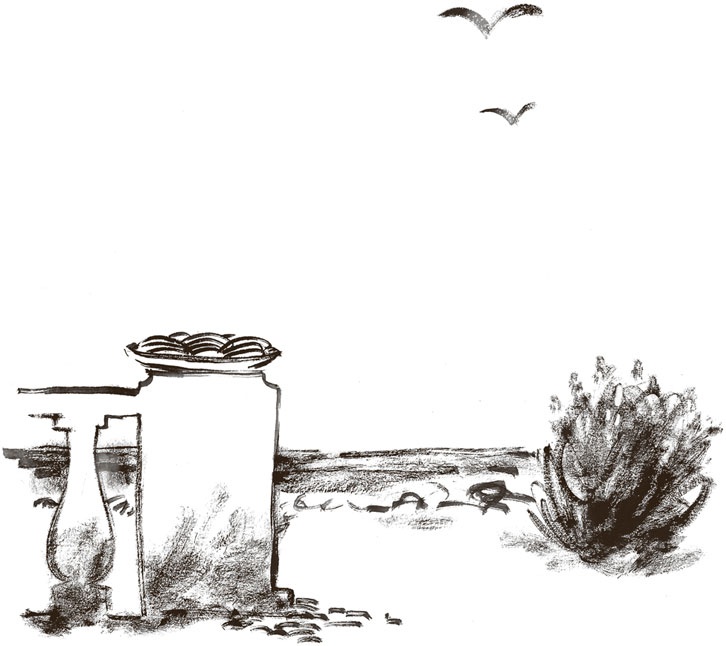 Иллюстрация к книге — Что мы ели в СССР. Рецепты на все времена [_62.jpg]