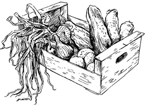 Иллюстрация к книге — Консервирование и лучшие рецепты опытных садоводов и огородников [block_001160_page_006_image_0002.jpg]