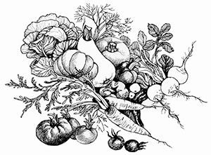 Иллюстрация к книге — Консервирование и лучшие рецепты опытных садоводов и огородников [block_001160_page_017_image_0004.jpg]