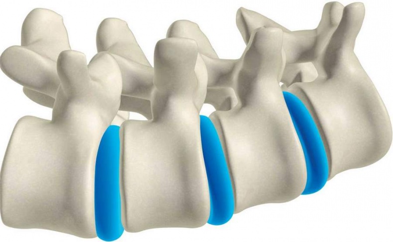 Иллюстрация к книге — Йога-анатомия. Как работают асаны для здоровья и стройности тела [i_005.jpg]