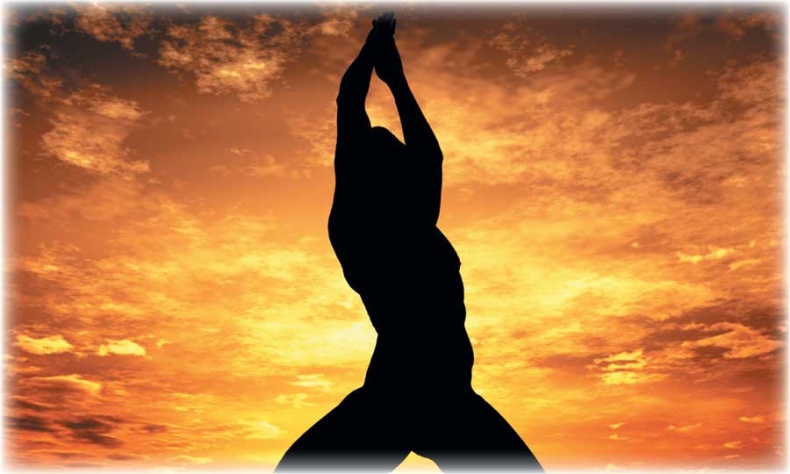 Иллюстрация к книге — Йога-анатомия. Как работают асаны для здоровья и стройности тела [i_035.jpg]