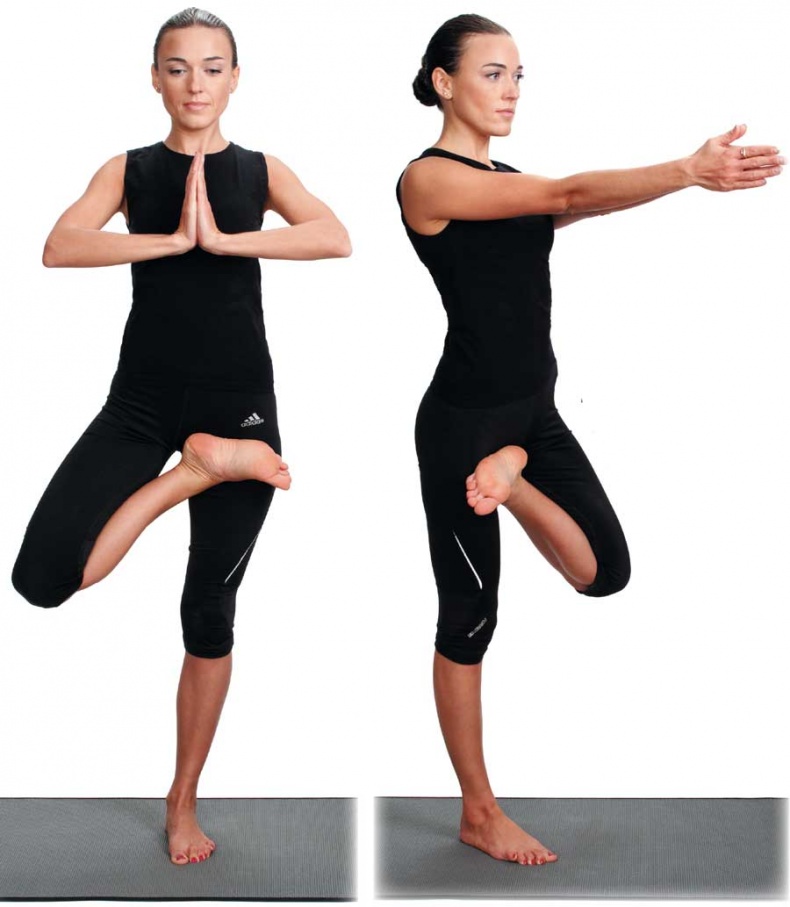 Иллюстрация к книге — Йога-анатомия. Как работают асаны для здоровья и стройности тела [i_044.jpg]