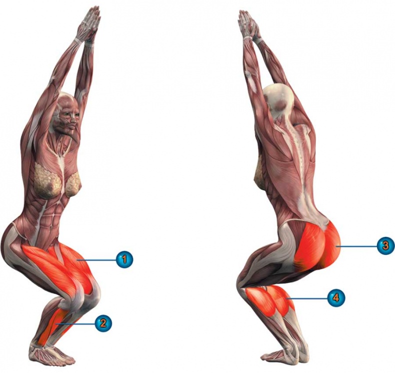 Иллюстрация к книге — Йога-анатомия. Как работают асаны для здоровья и стройности тела [i_049.jpg]