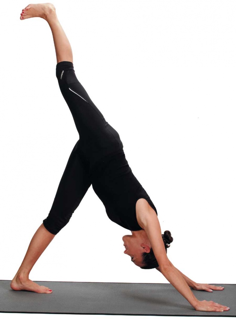 Иллюстрация к книге — Йога-анатомия. Как работают асаны для здоровья и стройности тела [i_085.jpg]