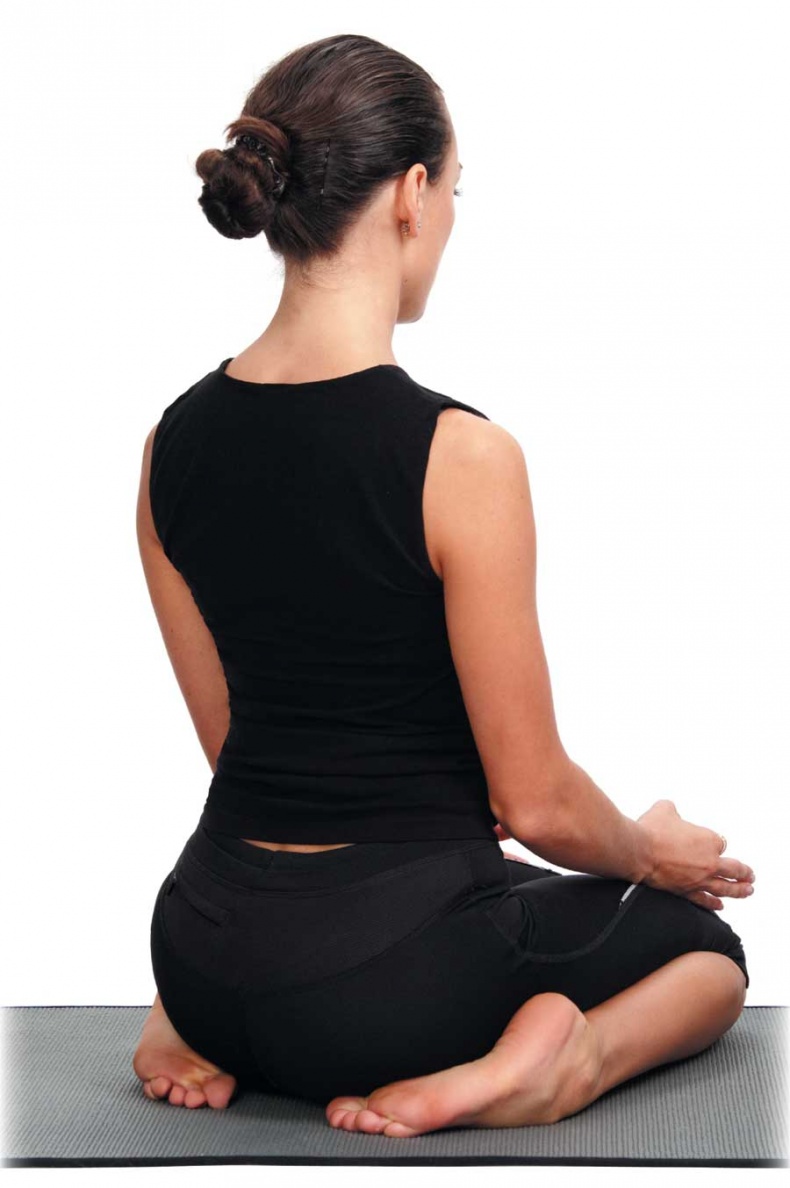 Иллюстрация к книге — Йога-анатомия. Как работают асаны для здоровья и стройности тела [i_095.jpg]