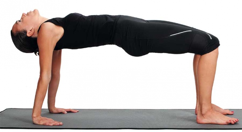 Иллюстрация к книге — Йога-анатомия. Как работают асаны для здоровья и стройности тела [i_122.jpg]